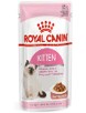 KITTEN INSTINCTIVE POUCHES